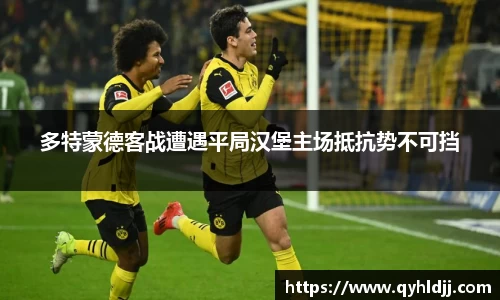 DB旗舰官网