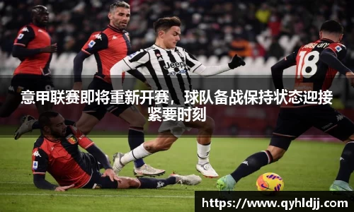 DB旗舰官网