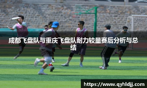 DB旗舰APP