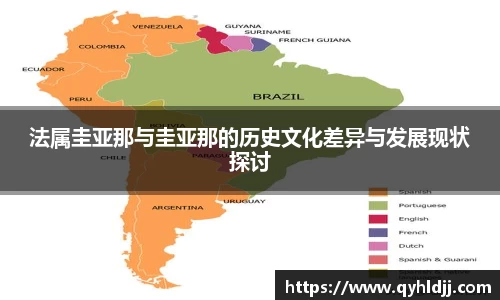 DB旗舰首页