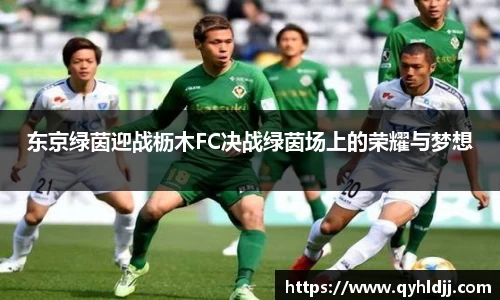 东京绿茵迎战枥木FC决战绿茵场上的荣耀与梦想
