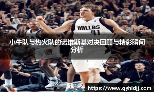 小牛队与热火队的诺维斯基对决回顾与精彩瞬间分析