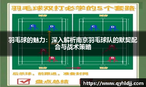 DB旗舰APP